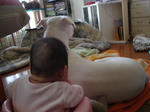 DSC01264.JPG