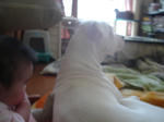 DSC01265.JPG