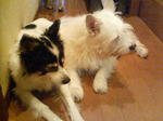 PAP_1823.JPG