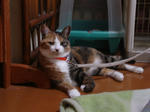 DSC01303.JPG