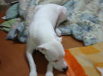 DSC01337.JPG
