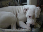 DSC01354.JPG
