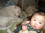 DSC01350.JPG
