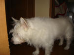 DSC01342.JPG
