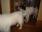 DSC01343.JPG