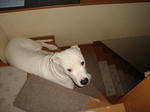 DSC01367.JPG