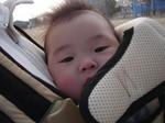 DSC01393.JPG
