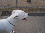 DSC01392.JPG