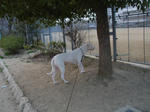 DSC01394.JPG