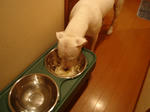 DSC01395.JPG