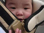DSC01401.JPG