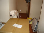 DSC01442.JPG