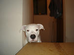 DSC01445.JPG