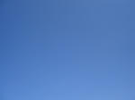 DSC01466.JPG