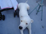 DSC01463.JPG