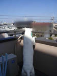 DSC01459.JPG