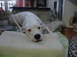 DSC01541.JPG