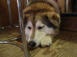 DSC01596.JPG