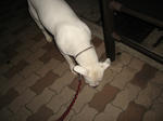 DSC01664.JPG