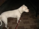 DSC01665.JPG