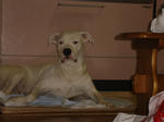 DSC01686.JPG