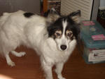 DSC01728.JPG