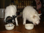 DSC01702.JPG
