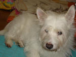DSC01712.JPG