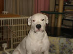 DSC01718.JPG