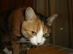 DSC01722.JPG