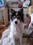 DSC01733.JPG