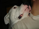 DSC01775.JPG