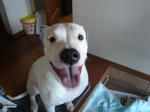 DSC01766.JPG