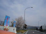 DSC01779.JPG