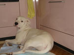 DSC01787.JPG