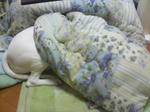 PAP_2000.JPG