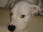 DSC01878.JPG