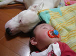DSC01893.JPG