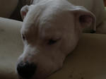DSC01877.JPG