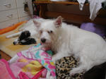 DSC01922.JPG