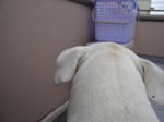 DSC01956.JPG