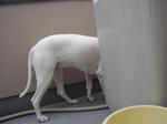 DSC01959.JPG