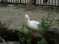 cd56eaadjpeg