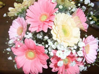 DSCF1038400.jpg