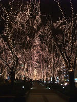 DSCF1046400.jpg