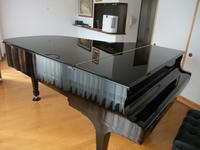 DSCF1162400.jpg