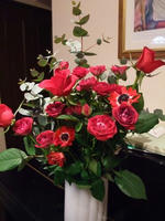 DSCF1302400.jpg