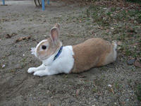 DSCF1390400.jpg