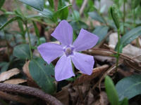 DSCF1396400.jpg