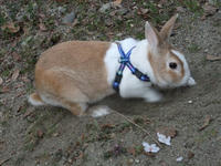DSCF1381400.jpg